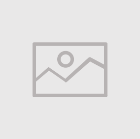 Professional Learning